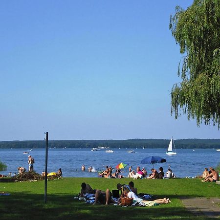 Apartment Hafenflair Am Plauer See, Plau Am See Eksteriør billede